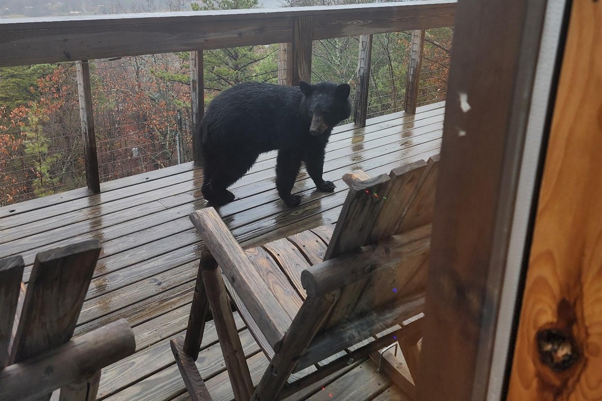 Colleen H., Dec 18, 2025