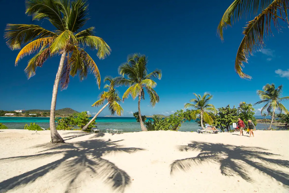 White sand beach lined with graceful palms awaits.