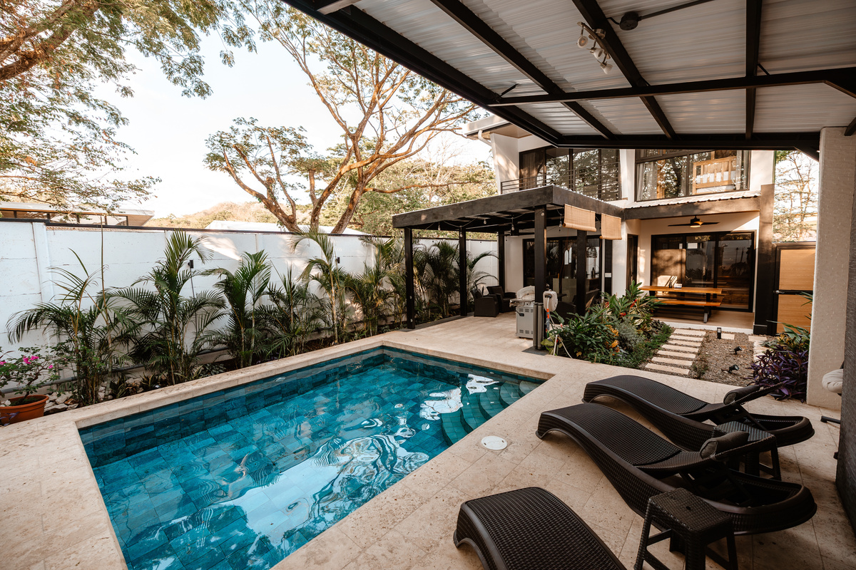 Casa Brisa: the pool, ready when you are. Sun loungers, Bali blue tile, and tree canopy above. Steps from the terrace.