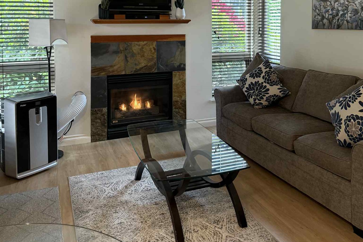 Unit B  - also boasts AC unit and natural gas fireplace.