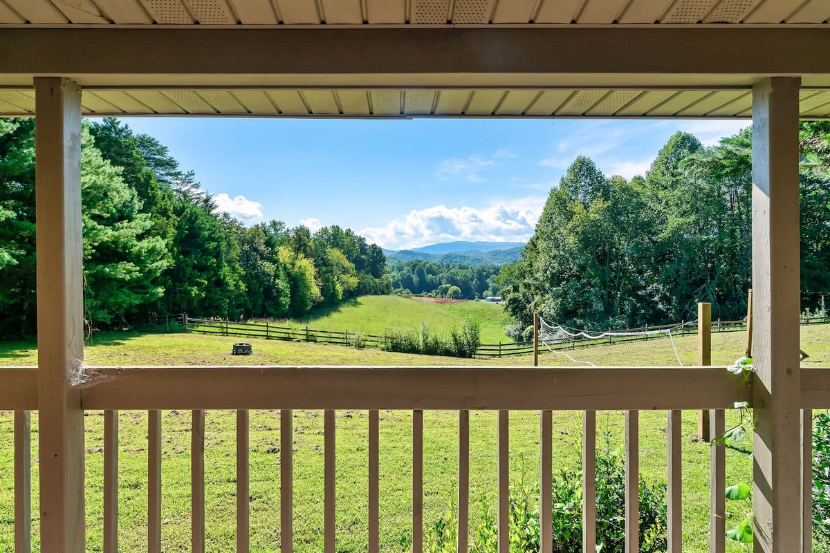 Views from the deck