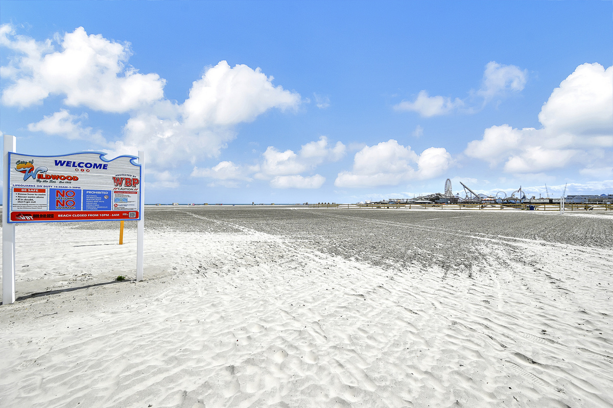 So MUCH SPACE for Puppies on WW Dog Beach