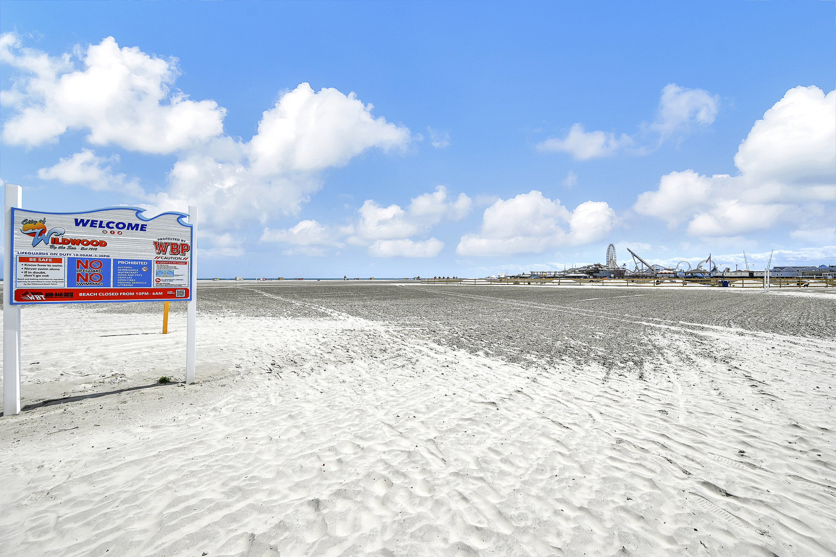 So MUCH SPACE for Puppies on WW Dog Beach