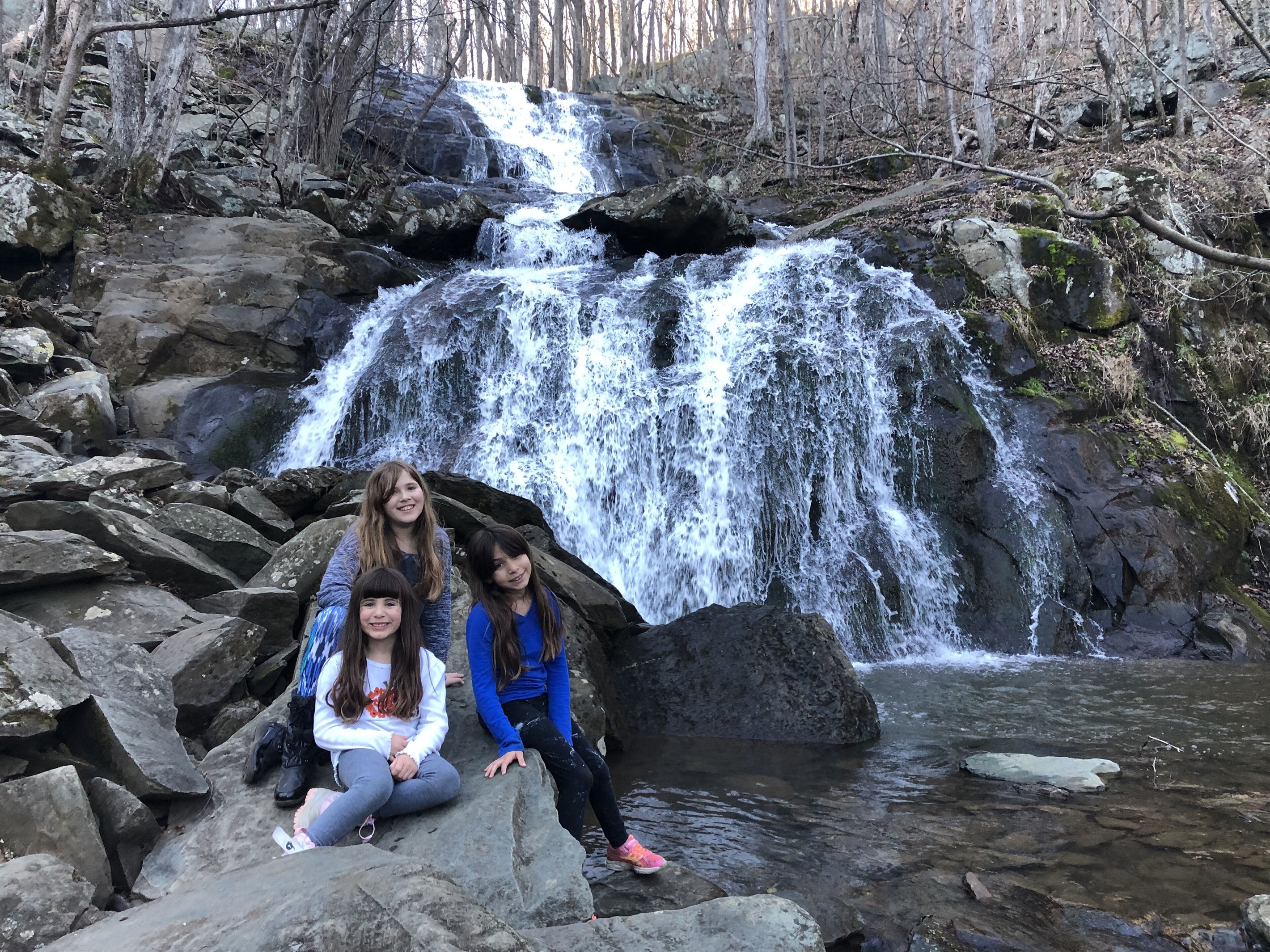 Shamokin Falls 
