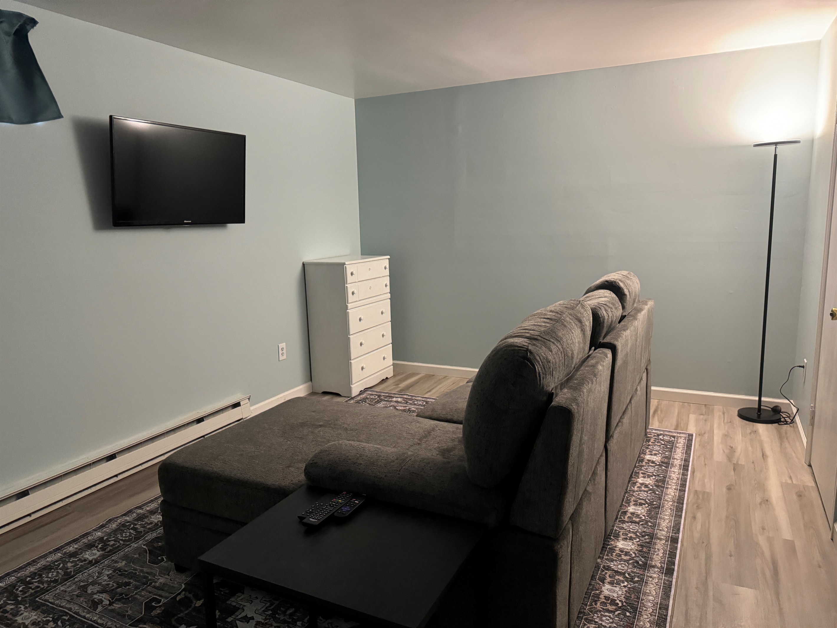 Lower level TV room