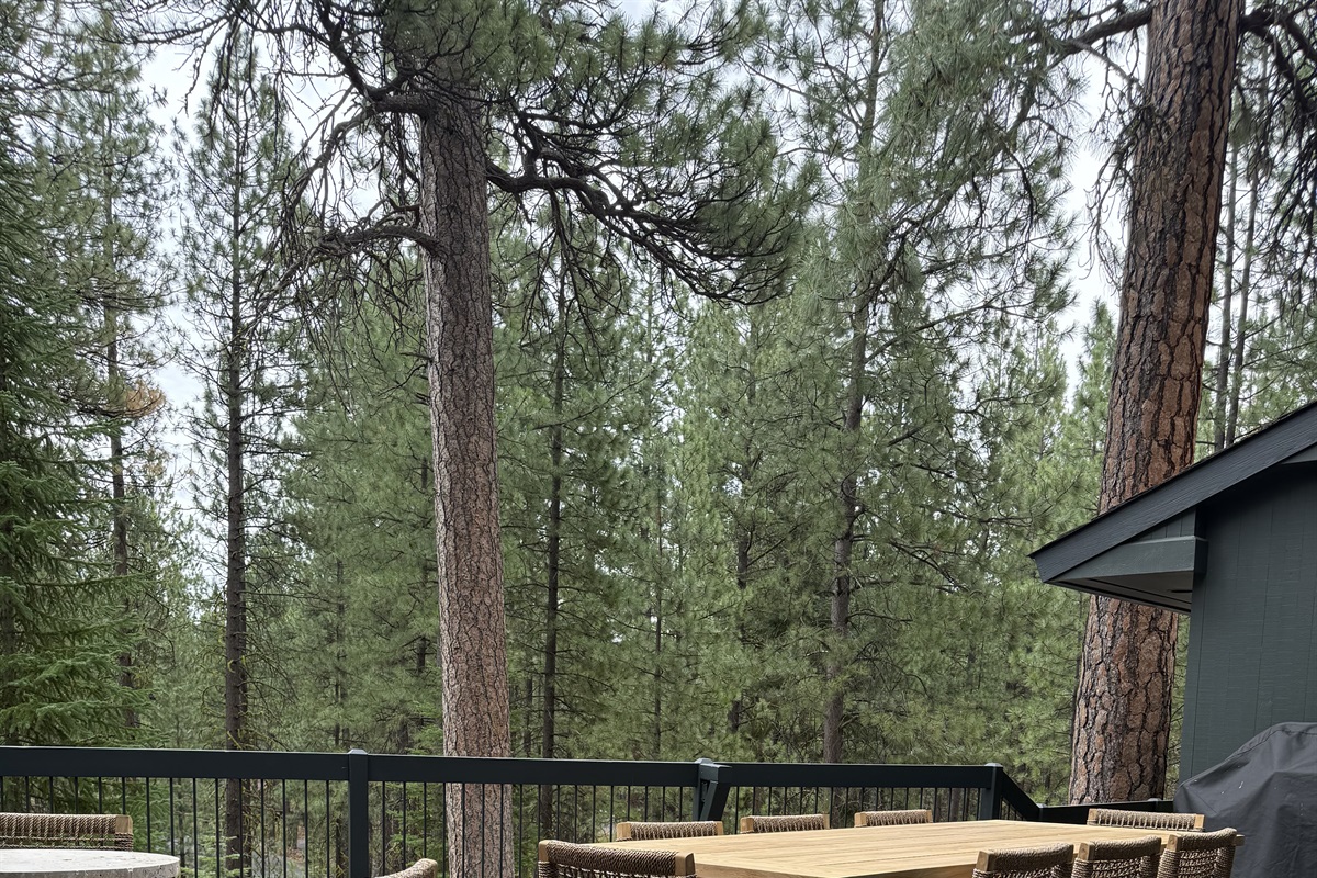 View from Deck