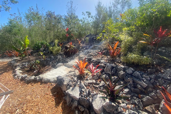 Another path to the hilltop.