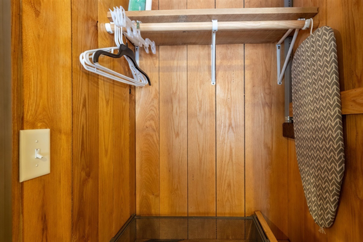 Ample Wardrobe Space in the Bedroom with iron