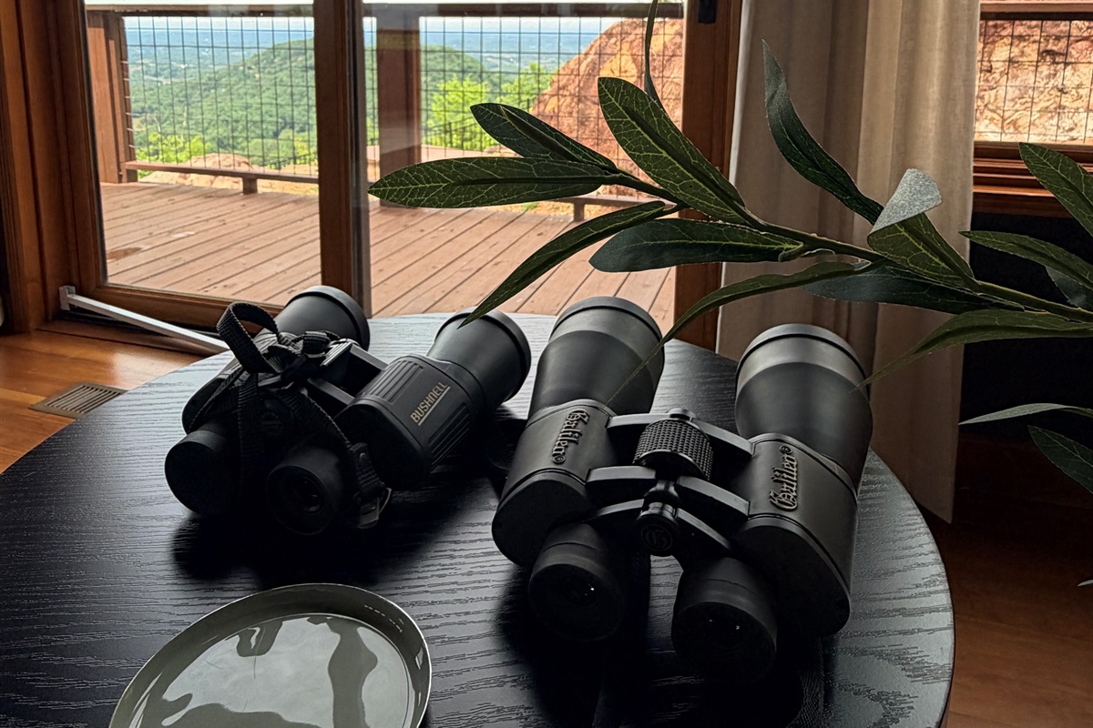 You can see for miles up here! Grab some binoculars and check out the ski slopes, Sevierville airport, the ferris wheel, or some local birds. You might spot eagles, hawks or indigo buntings.