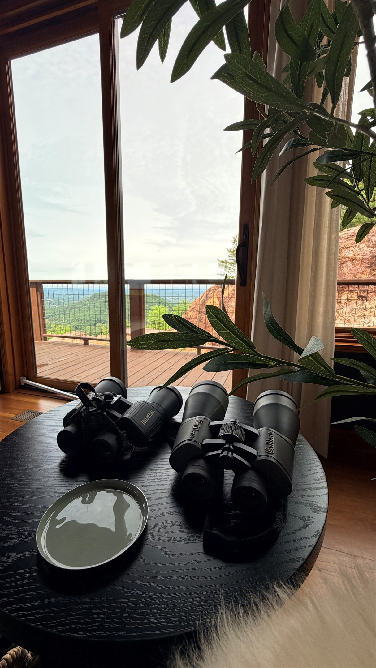 You can see for miles up here! Grab some binoculars and check out the ski slopes, Sevierville airport, the ferris wheel, or some local birds. You might spot eagles, hawks or indigo buntings.