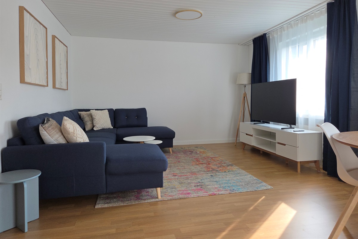 Living room with 55 inch smart TV