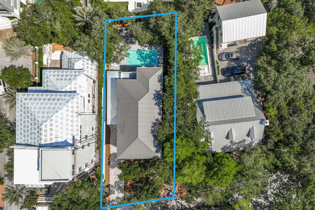 Aerial shot showing the dense foliage and large backyard with pool.