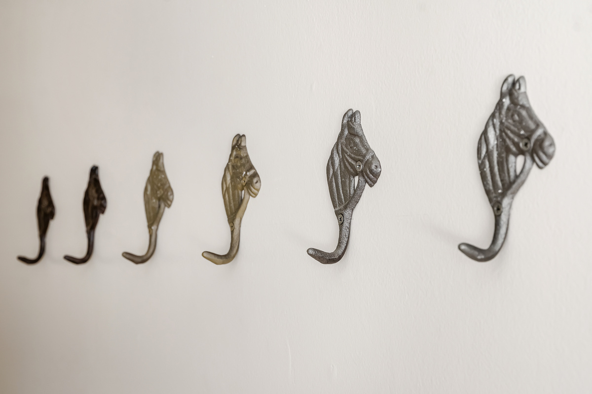 Bathroom #1 – Towel Hooks