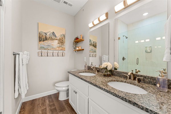 Granite counters and double sinks in primary bath