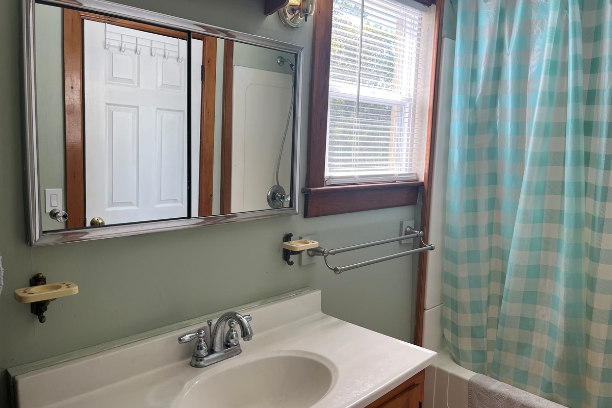 1st floor bath with tub/shower