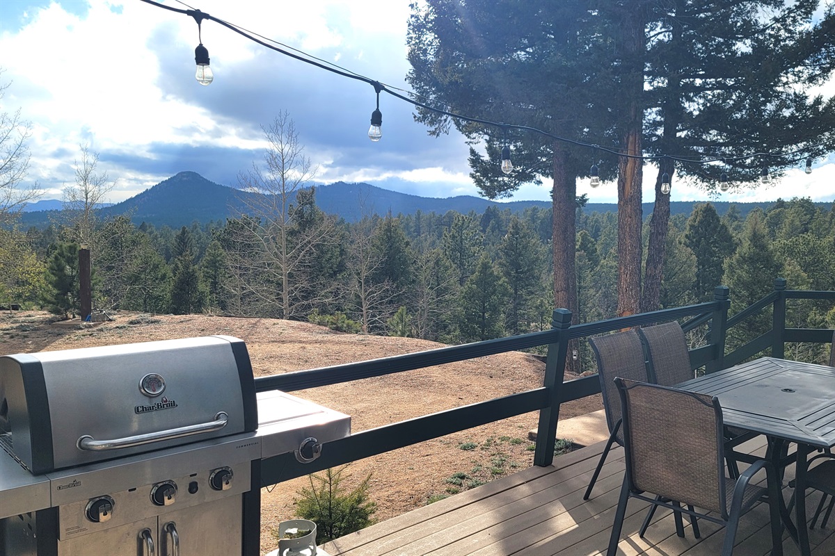 BBQ with a view!  Propane grill and table seating 6 guests