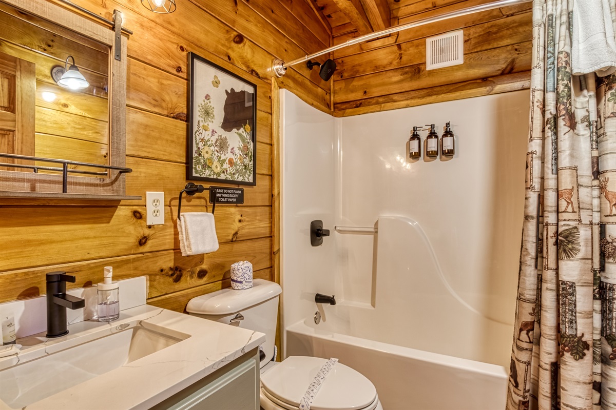 Full common bathroom upstairs