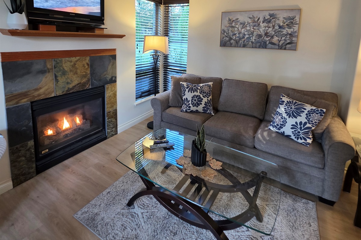 Main Floor. Streaming TV. Double glass doors. AC unit / natural gas fireplace. Covered Patio. Open concept. Roomy and spacious. Queen pull out sofa for extra Guests.