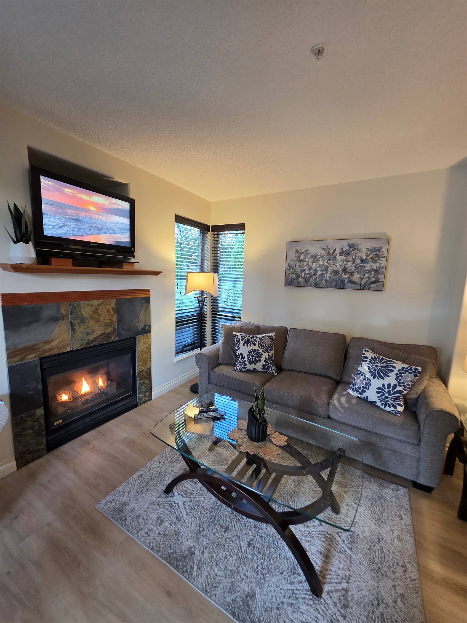 Main Floor. Streaming TV. Double glass doors. AC unit / natural gas fireplace. Covered Patio. Open concept. Roomy and spacious. Queen pull out sofa for extra Guests.