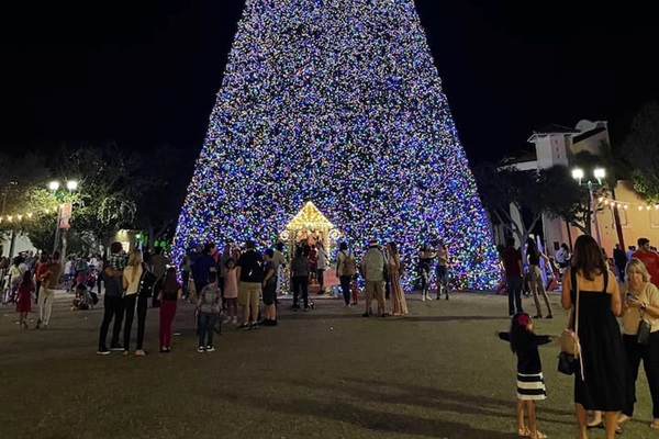 The famous Delray Beach Christmas Tree—an annual favorite for both visitors and locals—is just eight blocks from the property!