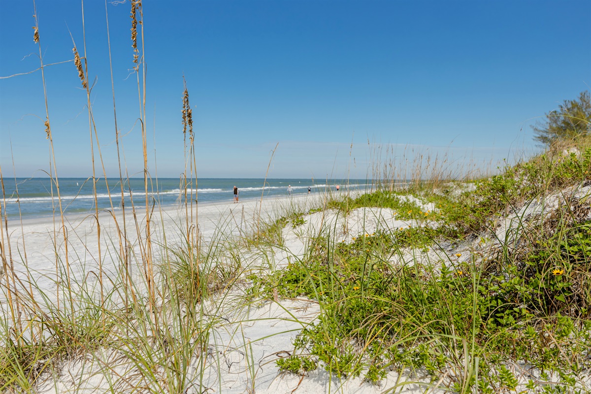 Beautiful beaches