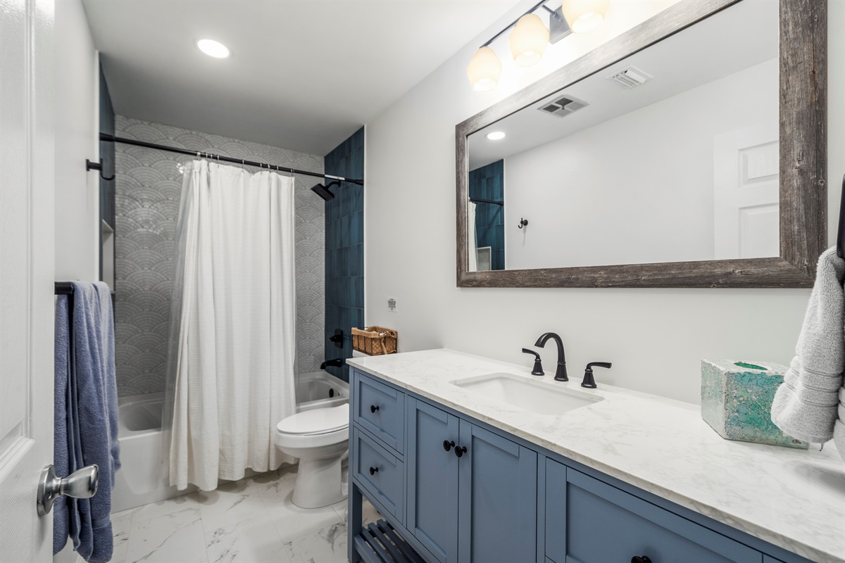 Guest / Living Room Bathroom