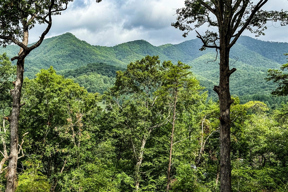 The nice view of the Smokies!