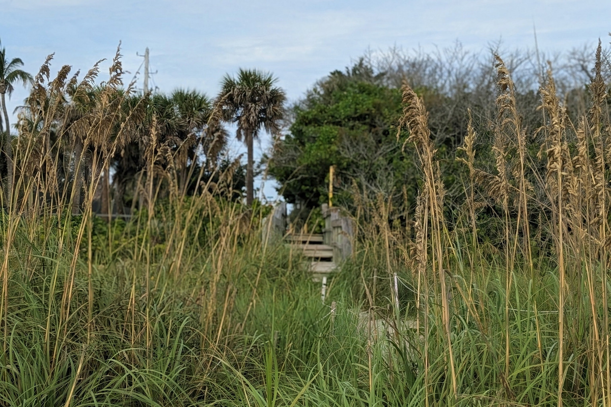 Beach access