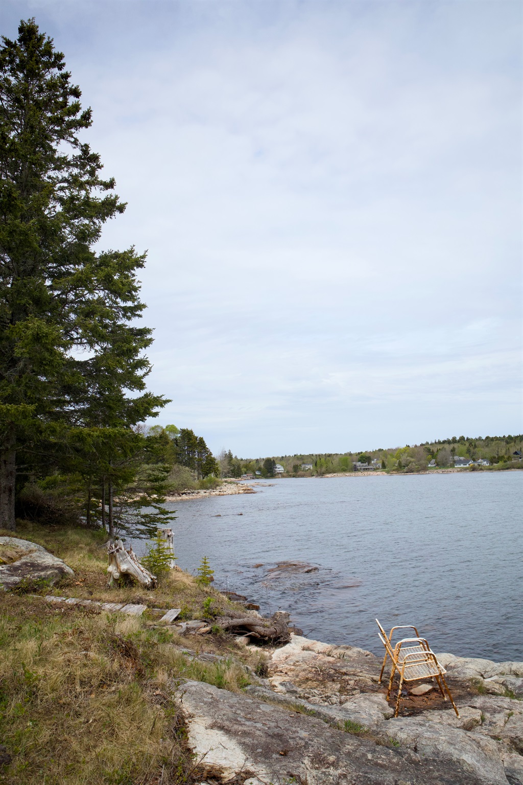Go ahead and dip your toes in the water! We don't mind!