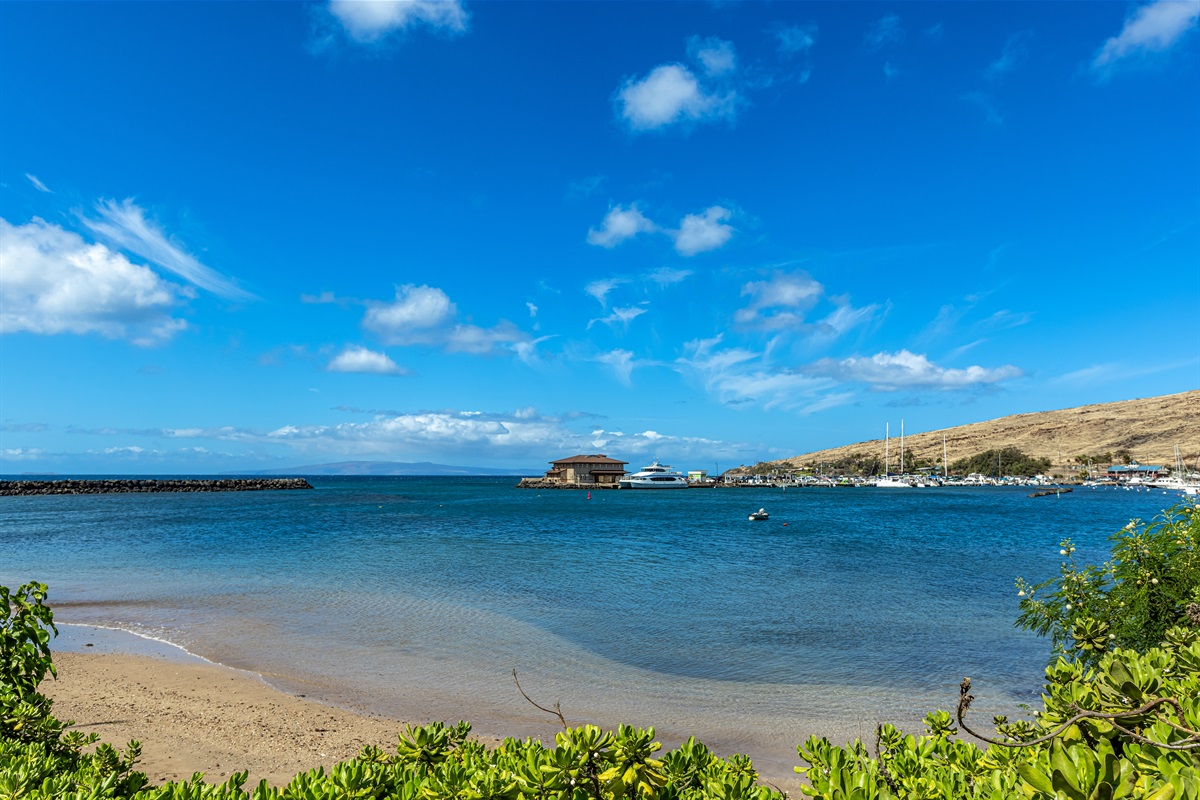 Ma'alaea Bay View