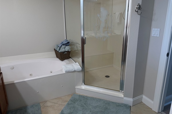 Master bathroom, jetted tub and shower