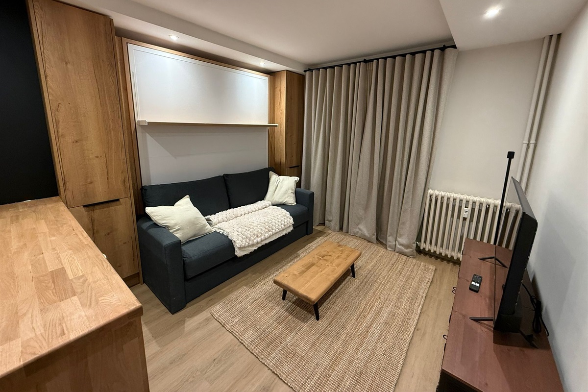 SOFA & PULL DOWN BED