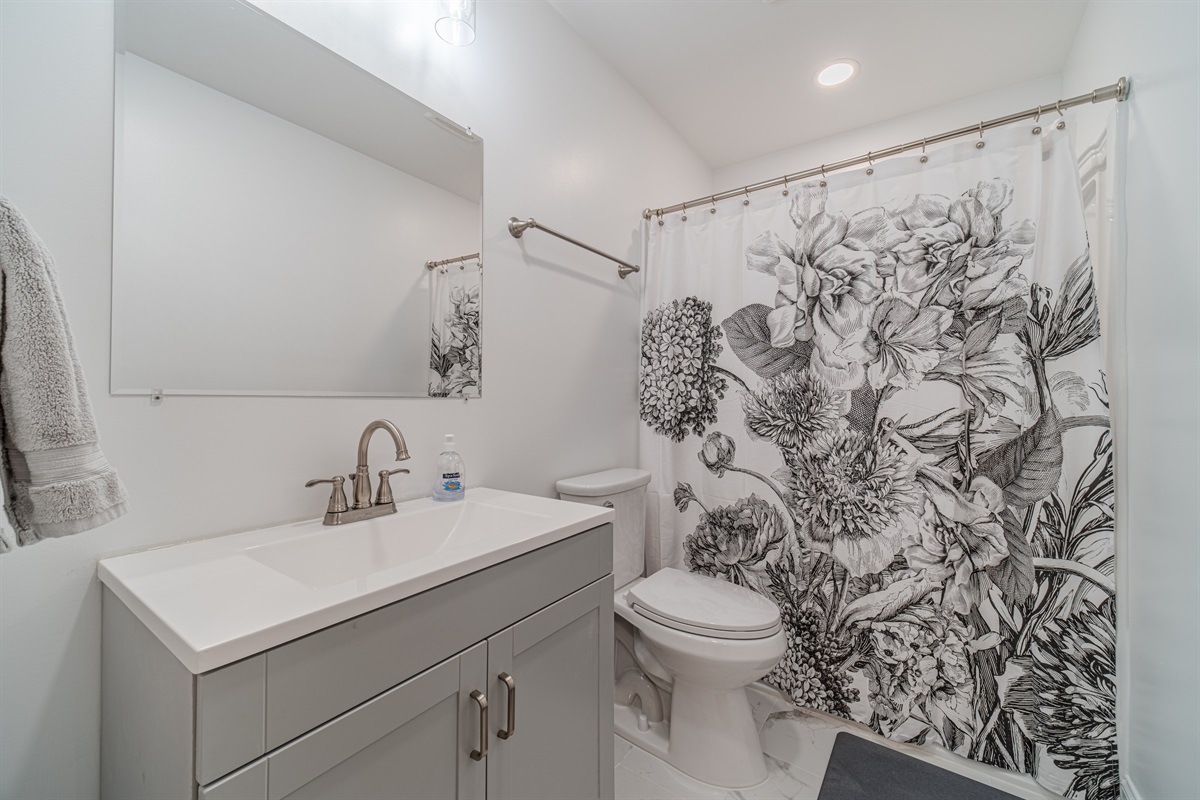 Basement Full Bath