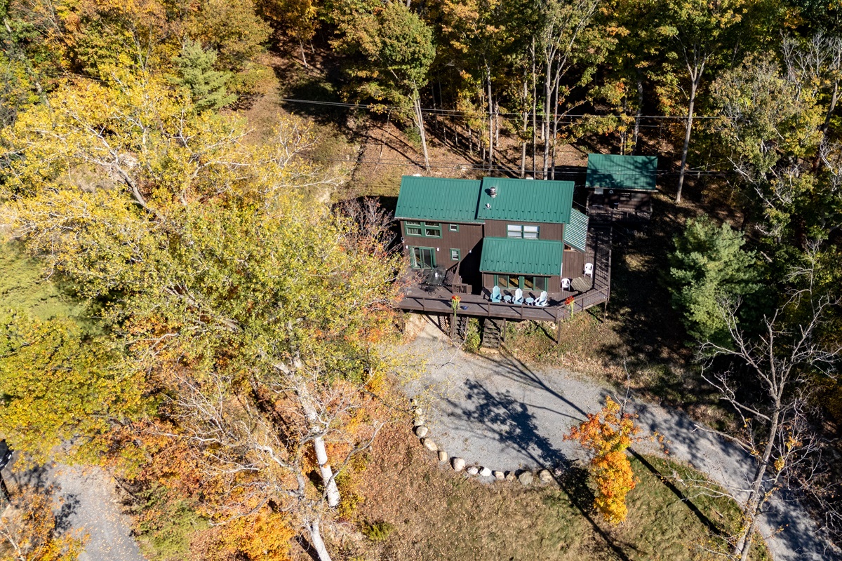 Green roof cabin sitting among golden leaves — cozy, private, ready for you.