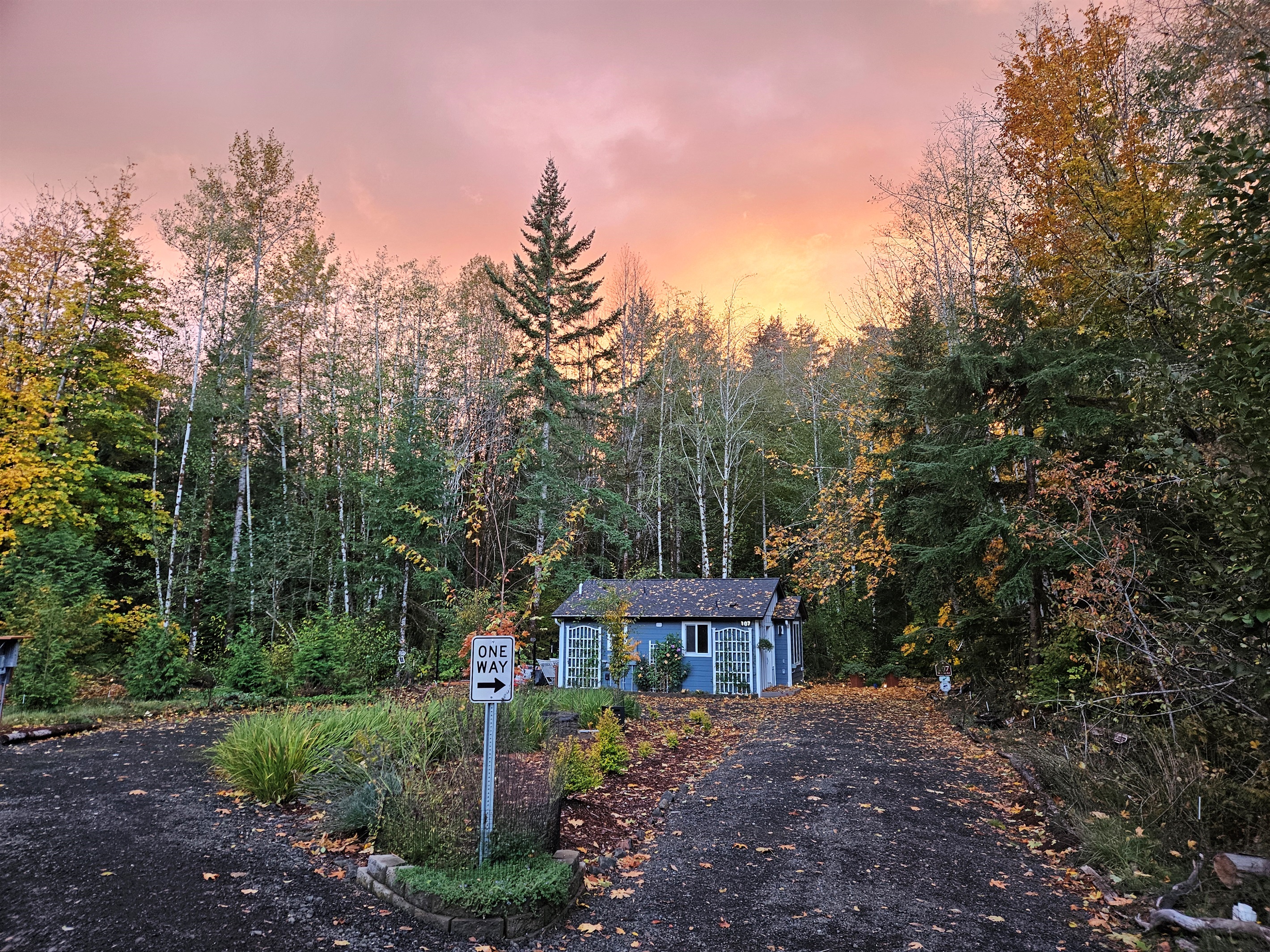 Stunning November sunsets at Alder Falls.