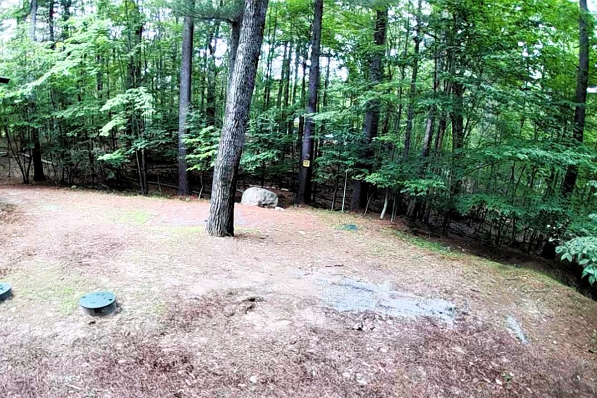 Spacious, level backyard