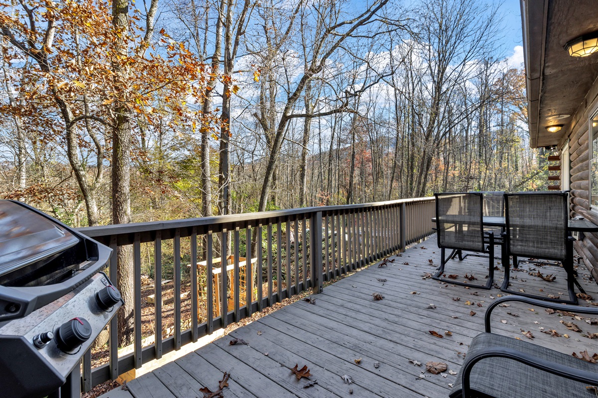 Outdoor dining on Back Deck