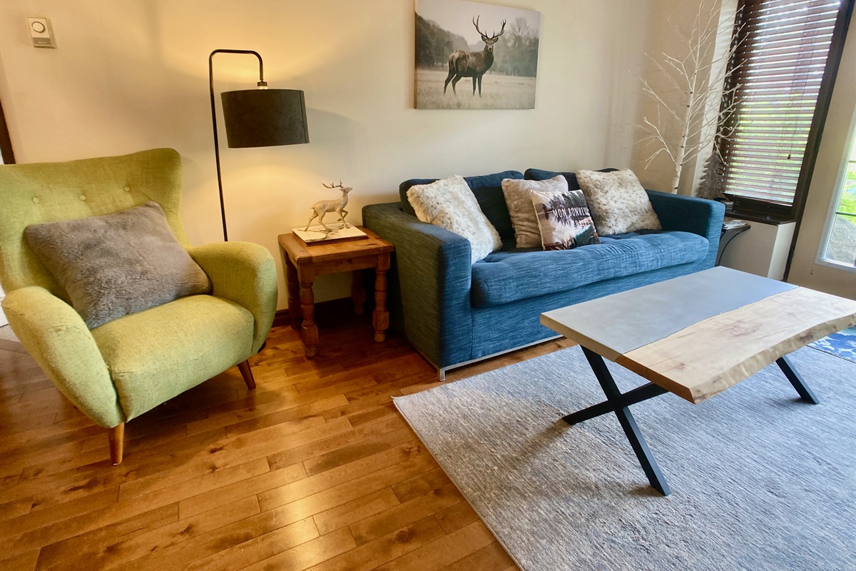 Living area with Queen Sofa bed
