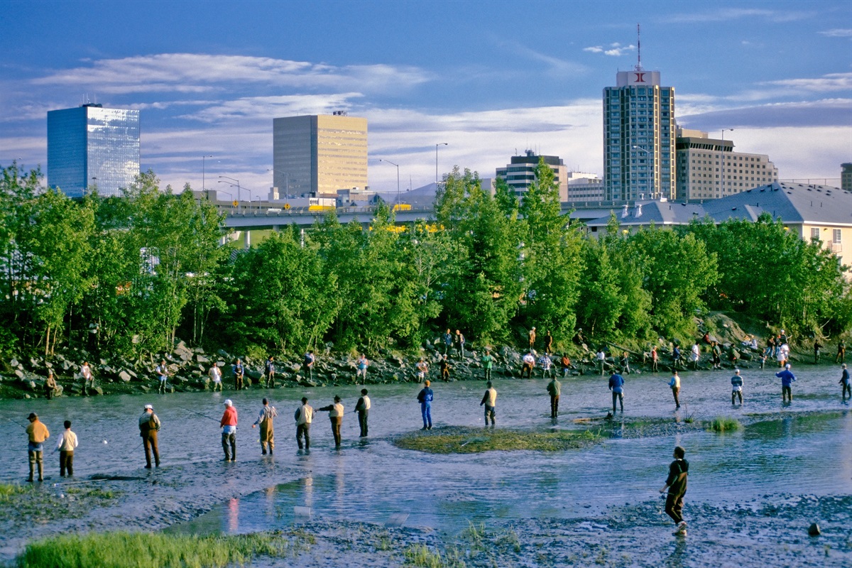Salmon Festival