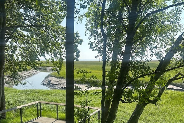 Our neighborhood has a nature trail where moose and bald eagles can often be found.