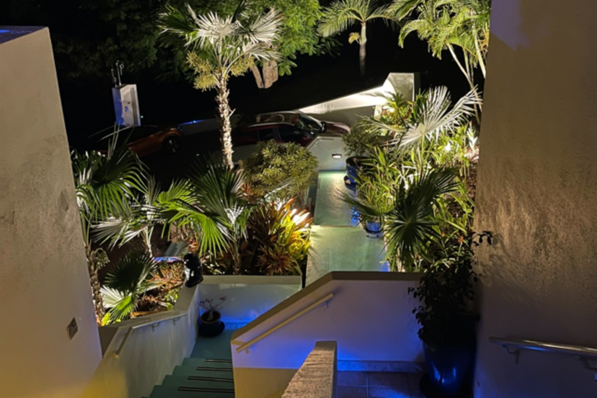 Nighttime Ambiance