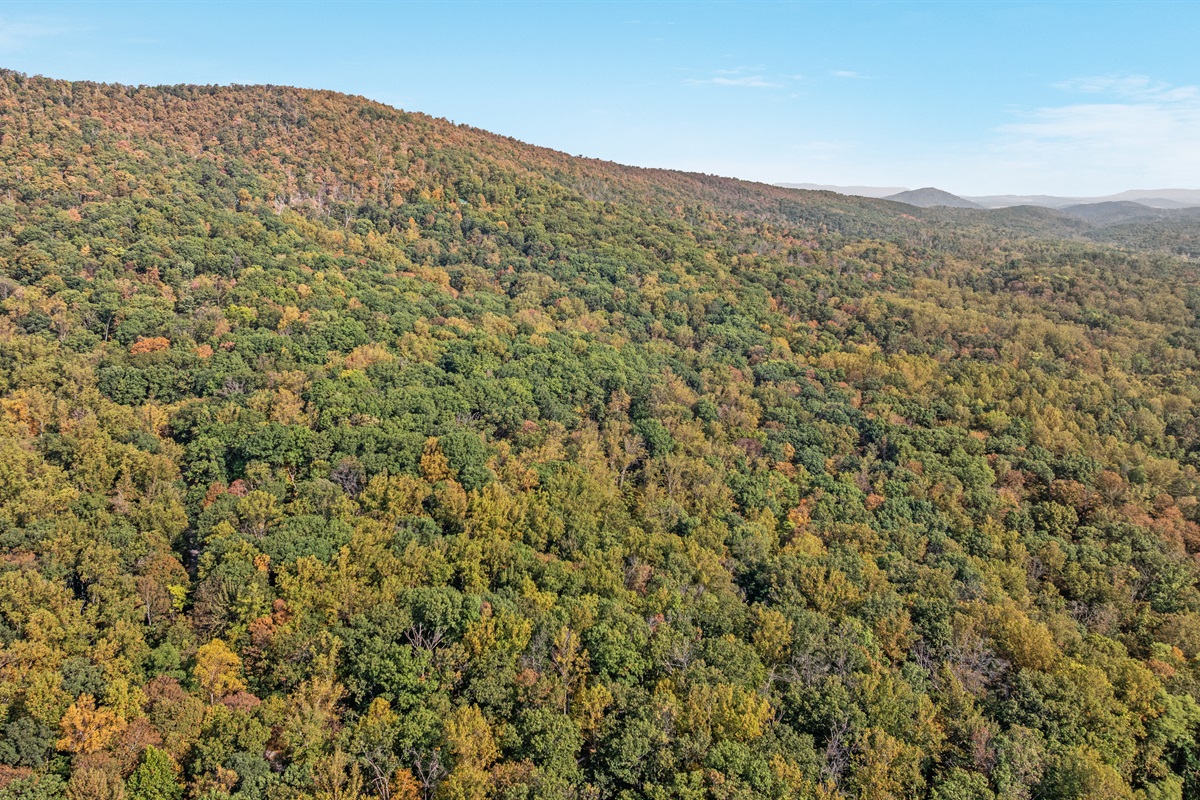 Your next adventure starts here — scenic hikes and breathtaking views at Cacapon State Park, just a quick drive from home. Enjoy hiking, biking, swimming, golfing, horseback riding, and more in this stunning mountain escape.