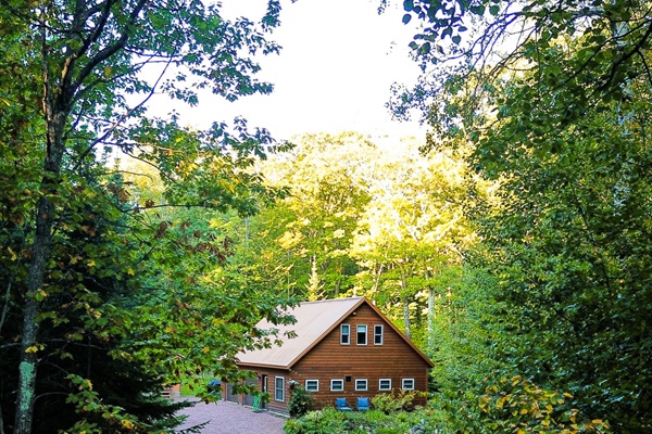 Rock Garden Cottage from the arrival up the driveway woods surrounding 