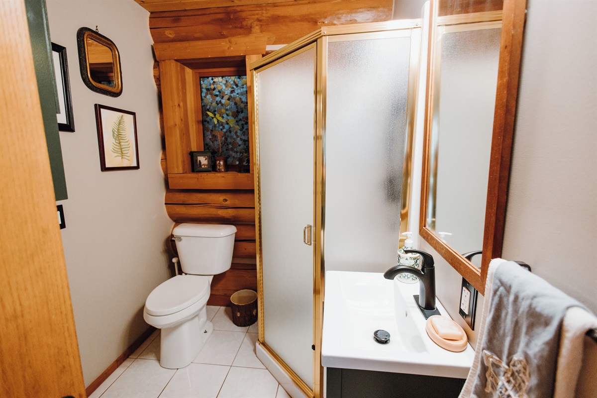 Bathroom, main level.