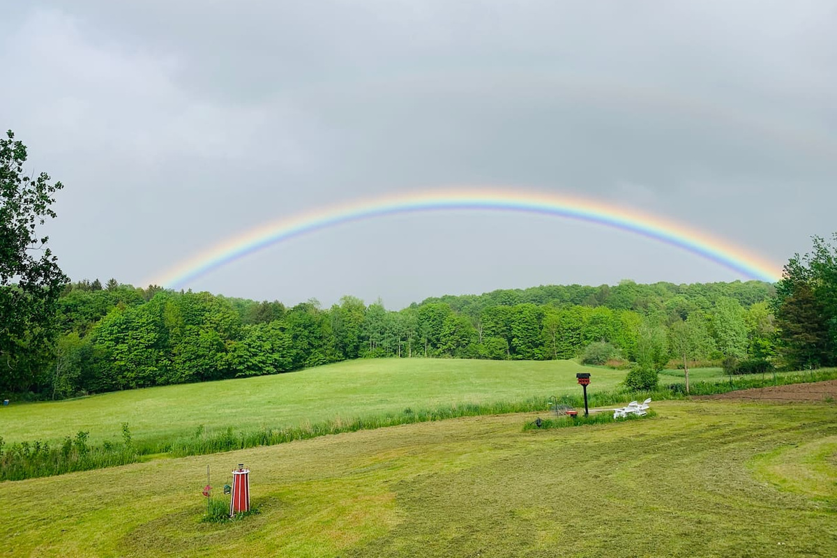 Backyard View