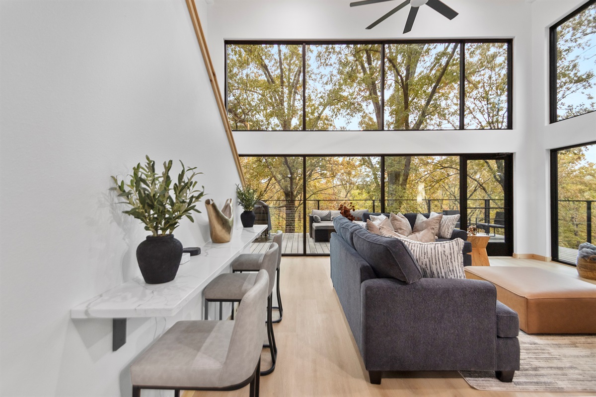 Wall of Windows Looking From Kitchen