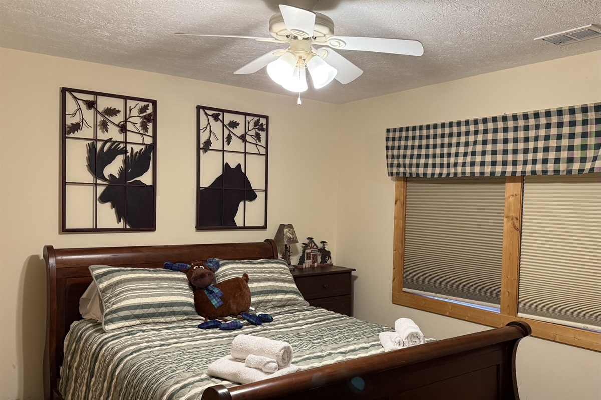Downstairs Bedroom 2