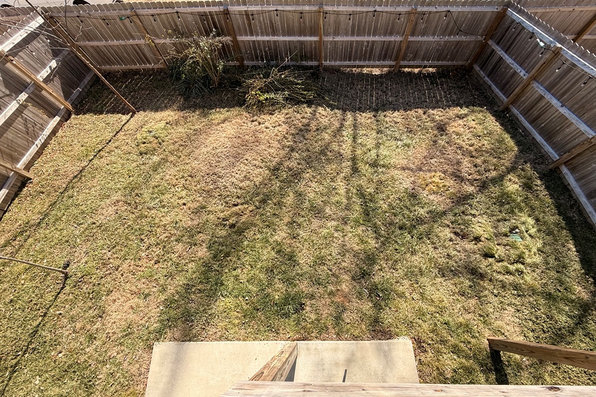 Fenced backyard with gate