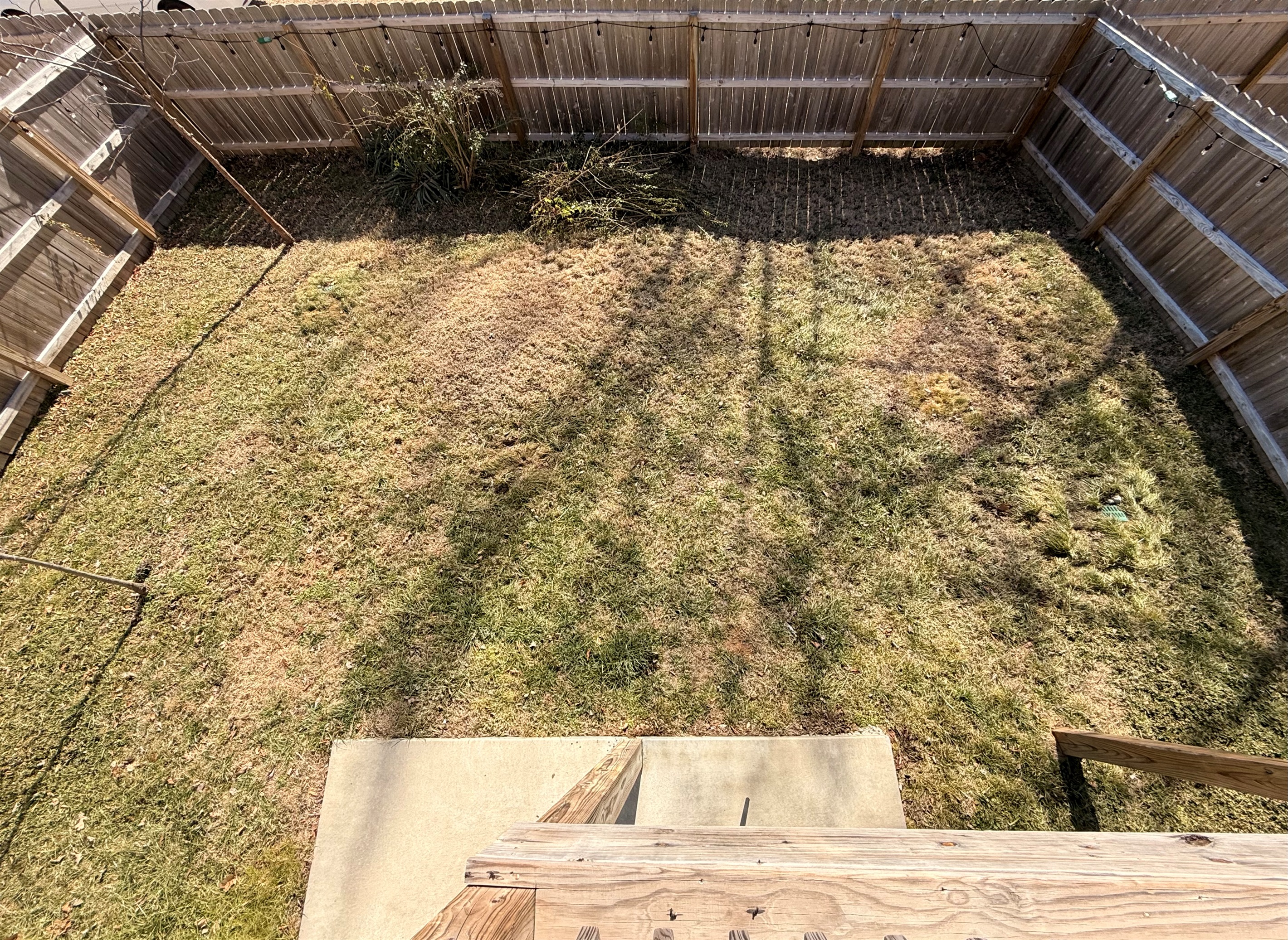 Fenced backyard with gate