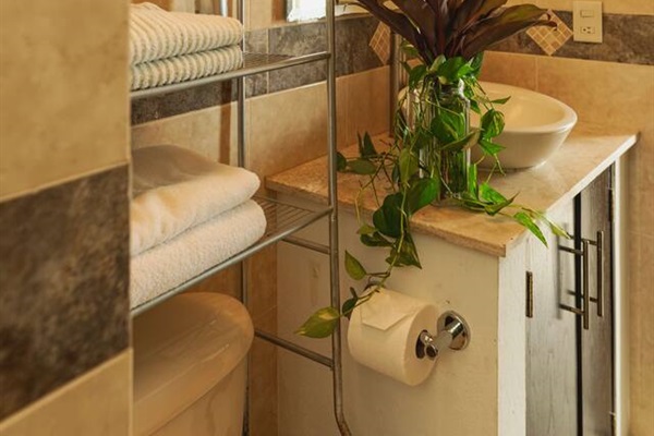 Bathroom - Master suite 